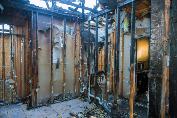 Professional Fire Damage Removal technician working in Holmes, PA